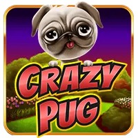 Crazy-Pug
